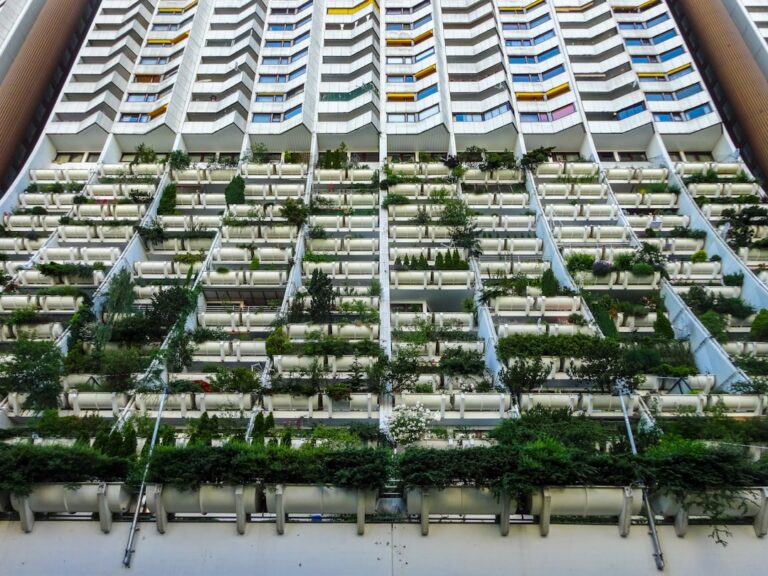 apartment balcony plant ideas