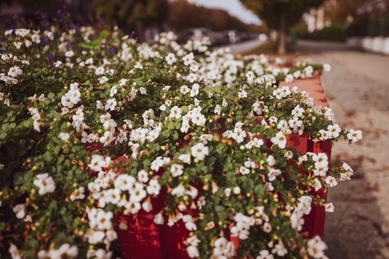 flower ideas for railing planters