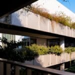 low maintenance creative balconies garden design