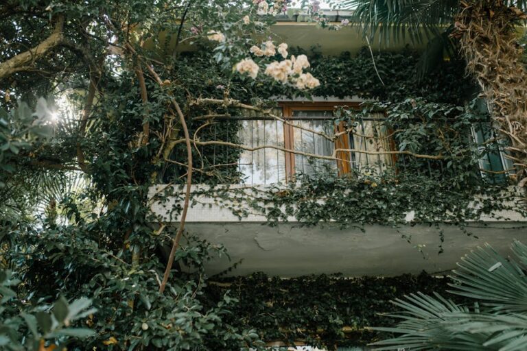 shade loving plants for balcony