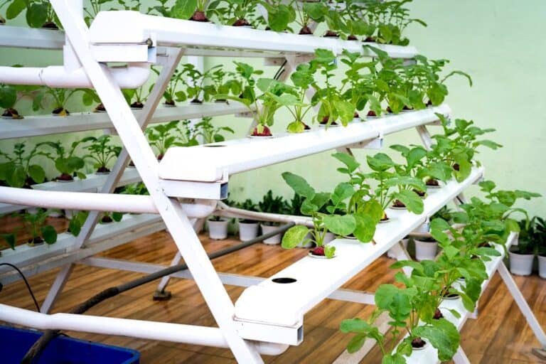 hydroponic wall system