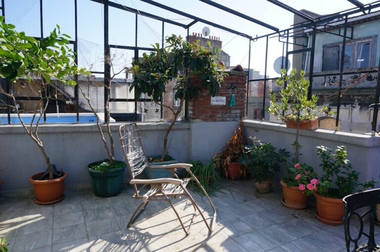 terrace plants ideas