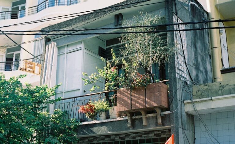 outdoor plants for balcony privacy