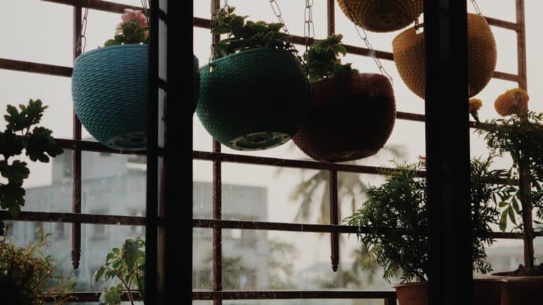balcony plant decor