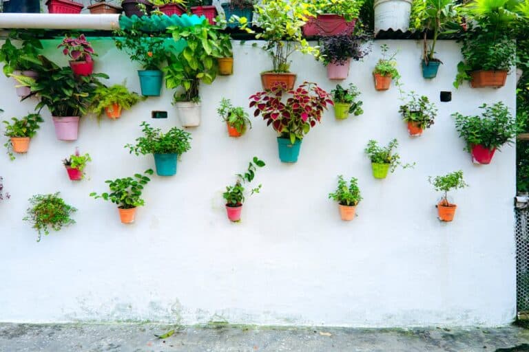 balcony wall herb garden