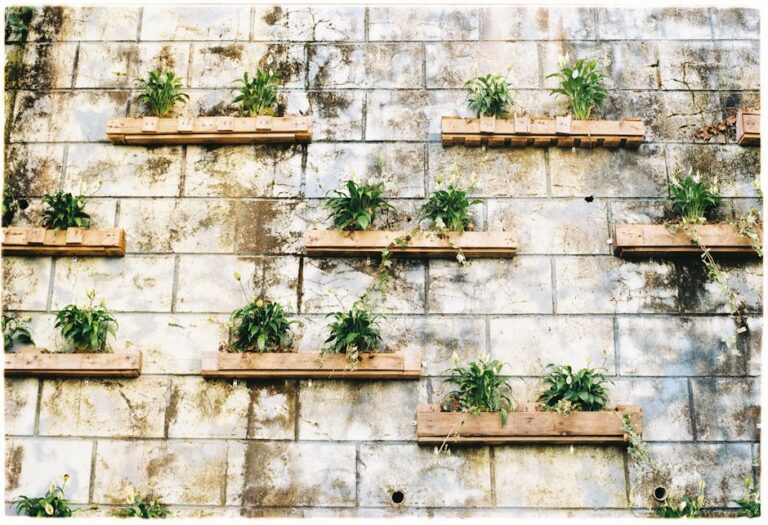 vertical garden planters outdoor