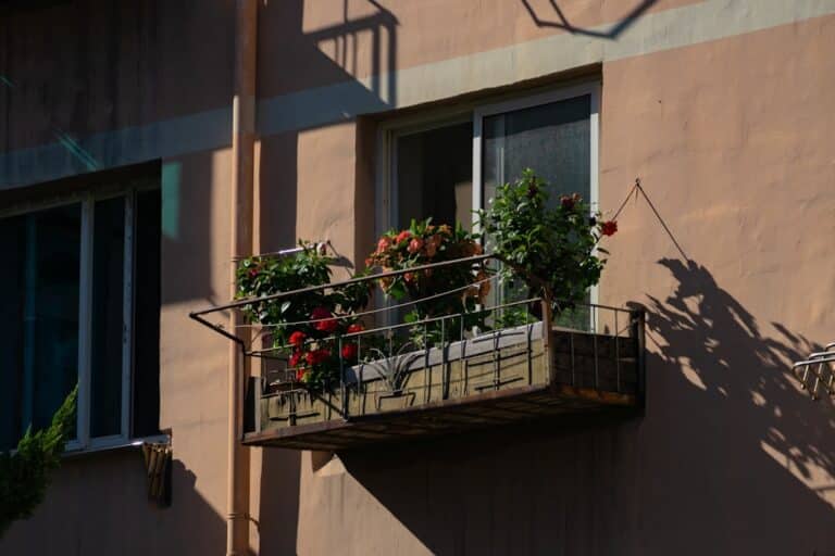 shady balcony plants