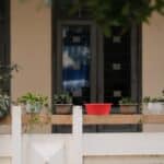 best plants for balcony