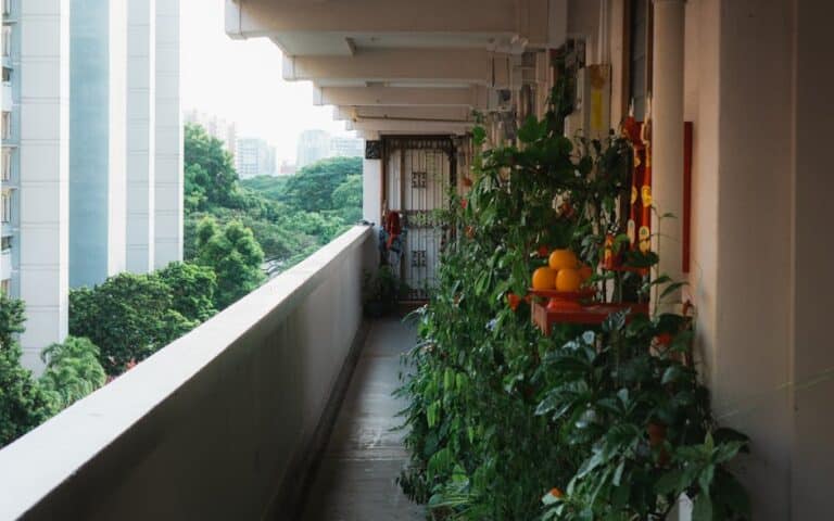 balcony plants ideas