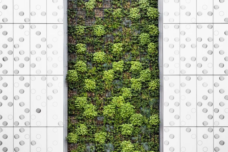 vertical wall garden kit