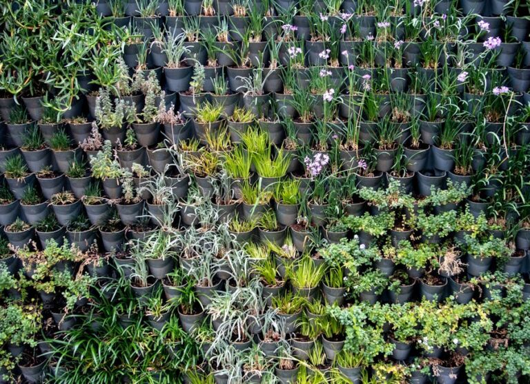 small wall herb garden